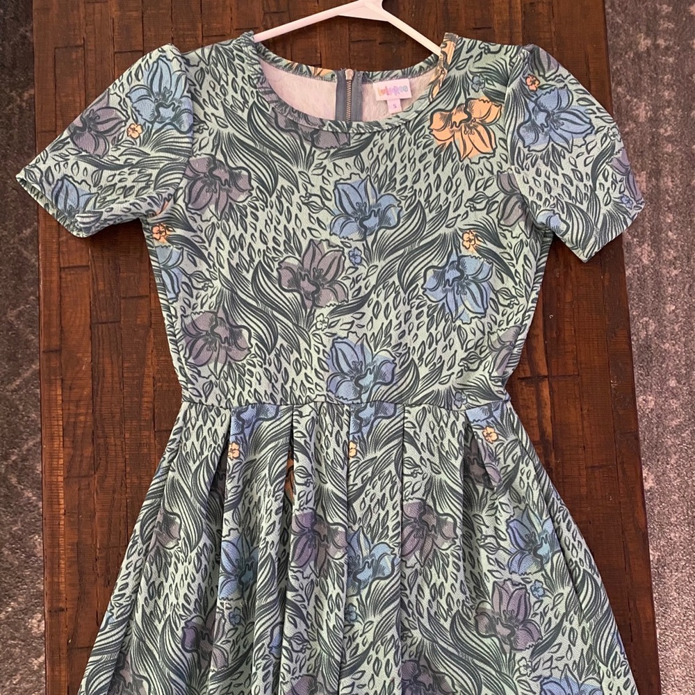 LulaRoe S Amelia dress